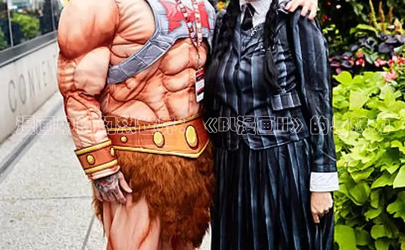 漫画中的幻想世界：《BL漫画H》的与魅力